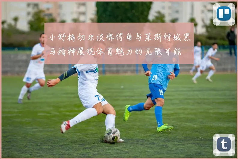 小舒梅切尔谈佛得角与莱斯特城黑马精神展现体育魅力的无限可能